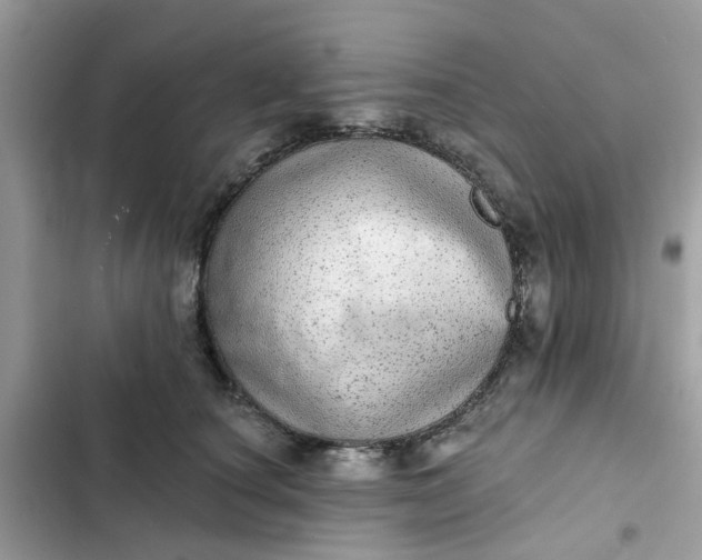 X0000102360660200808151814