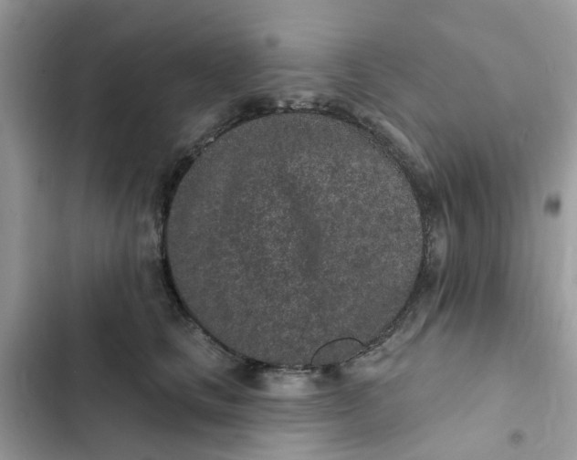 X0000102360661200808151814