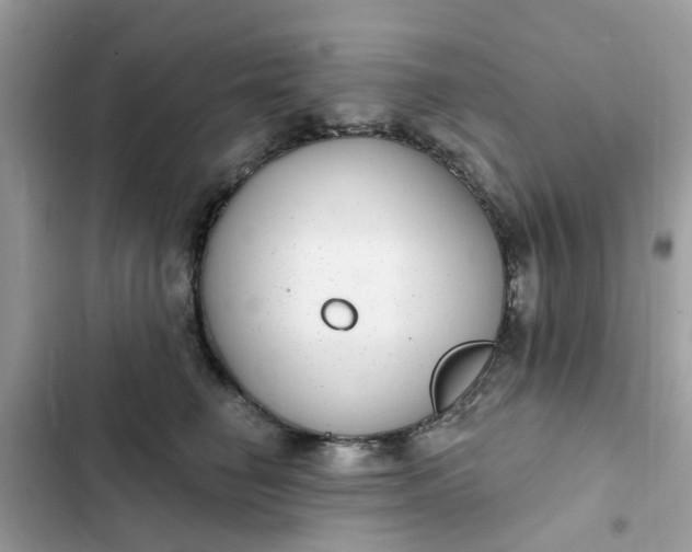 X0000102360662200808151814