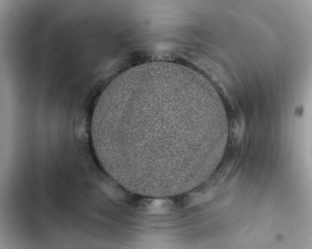 X0000102360663200808151814