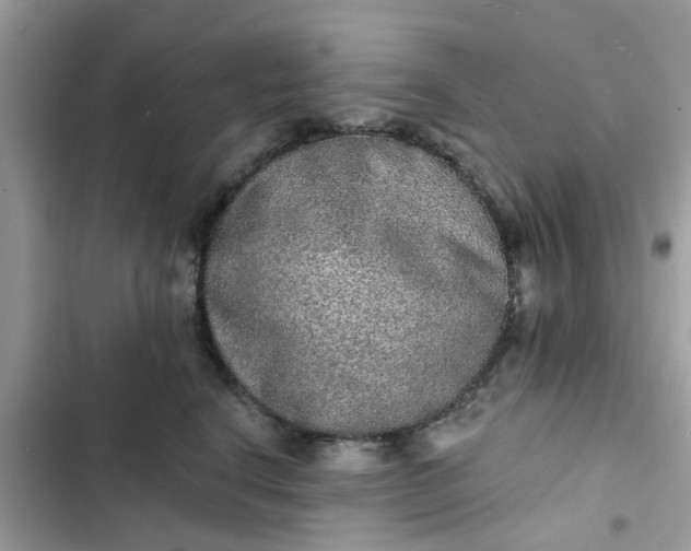 X0000102360664200808151814