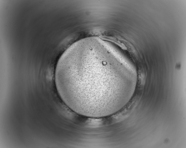 X0000102360665200808151814