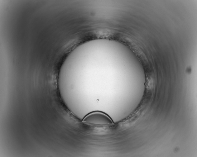 X0000102360666200808151814