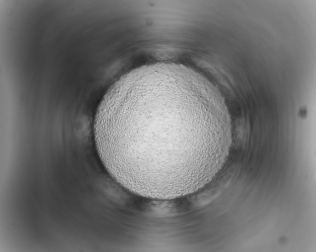 X0000102360667200808151814