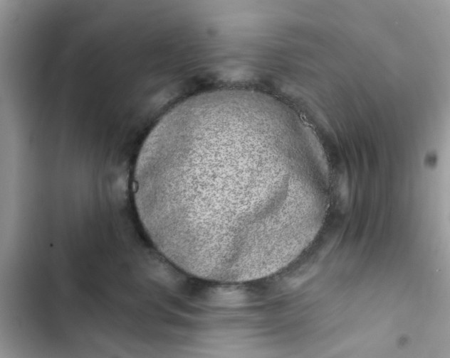 X0000102360668200808151814