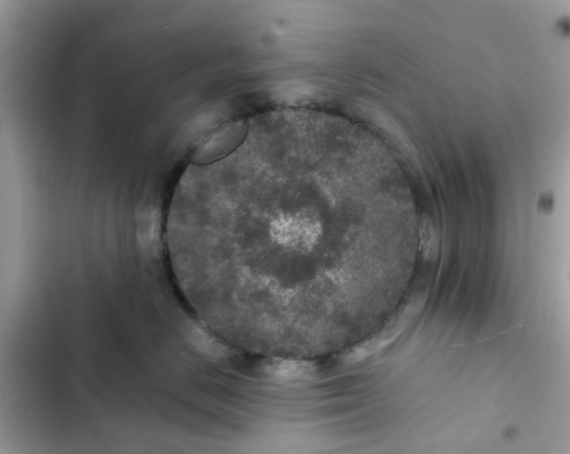 X0000102360670200808151814