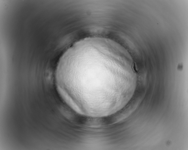 X0000102360671200808151814