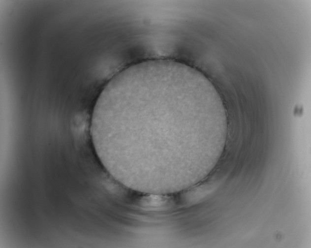 X0000102360672200808151814