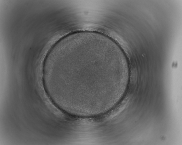 X0000102360673200808151813