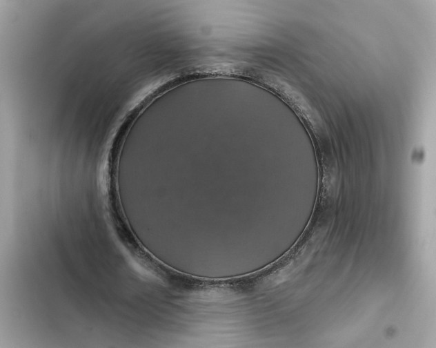 X0000102360674200808151813