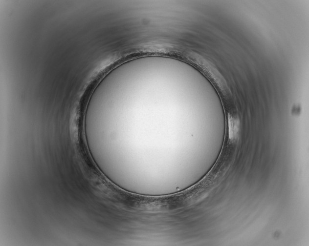 X0000102360675200808151813