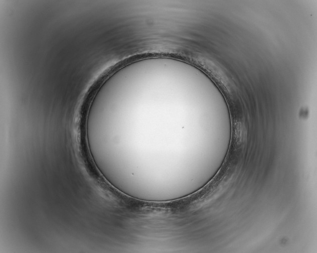 X0000102360676200808151813