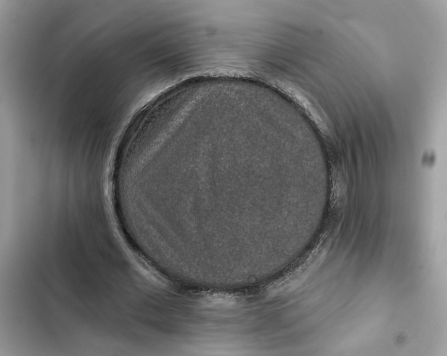 X0000102360677200808151813