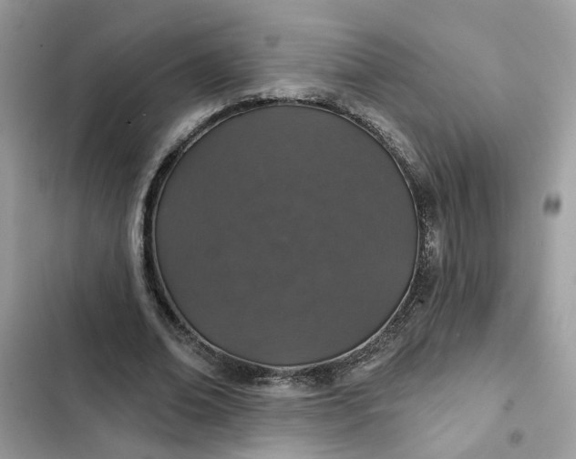 X0000102360678200808151813