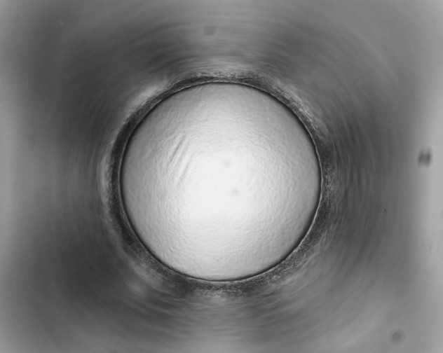 X0000102360679200808151813