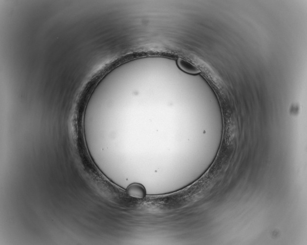 X0000102360680200808151813