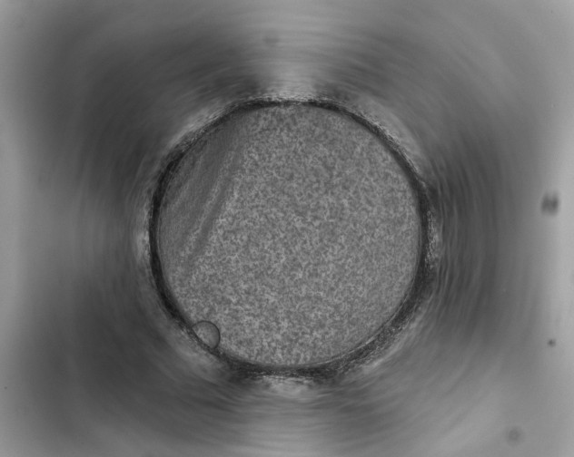 X0000102360681200808151813