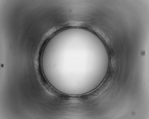 X0000102360682200808151813