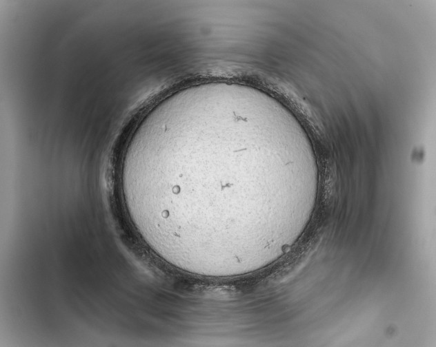 X0000102360683200808151813