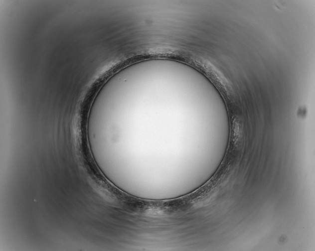 X0000102360684200808151813