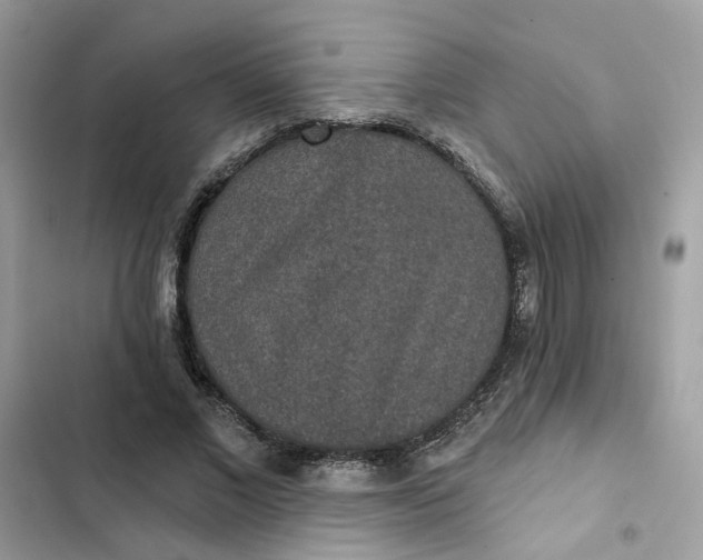 X0000102360685200808151813