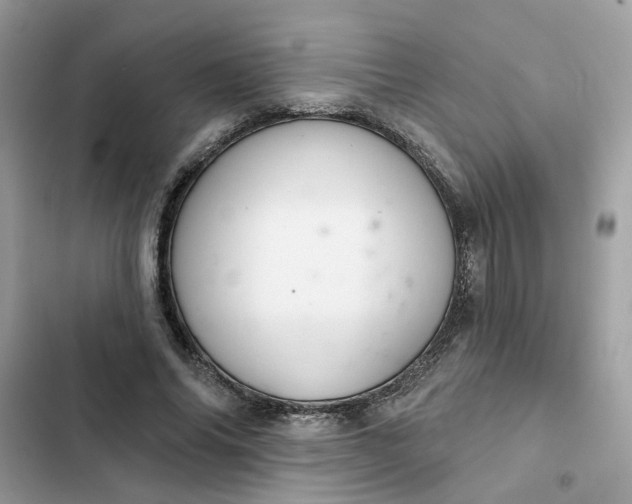 X0000102360686200808151813