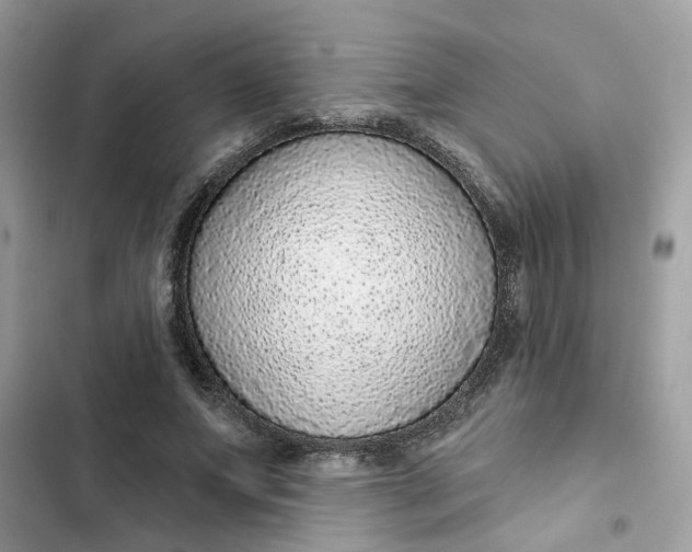 X0000102360687200808151813