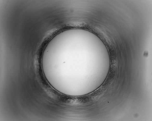 X0000102360688200808151813