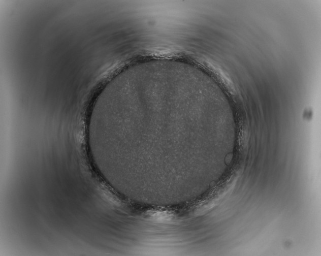 X0000102360689200808151813