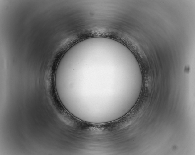 X0000102360690200808151813