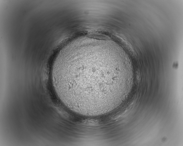 X0000102360691200808151813