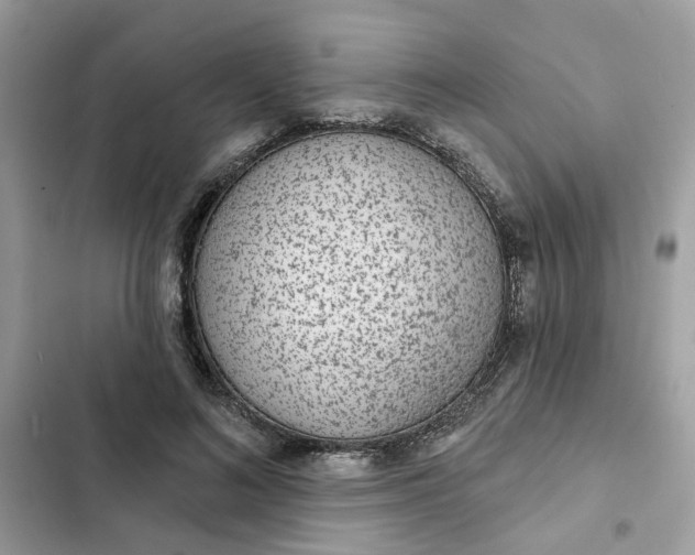 X0000102360692200808151813