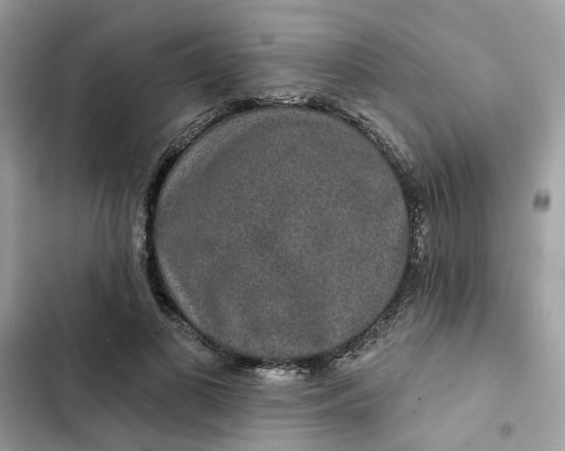 X0000102360693200808151813