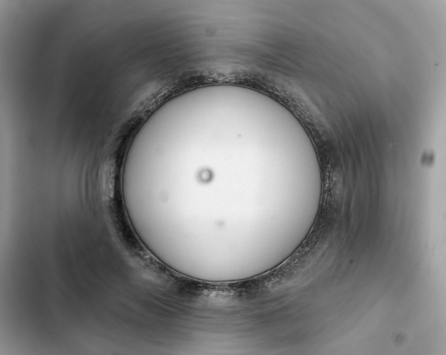 X0000102360694200808151813