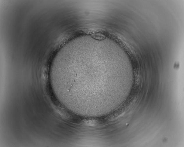 X0000102360695200808151813