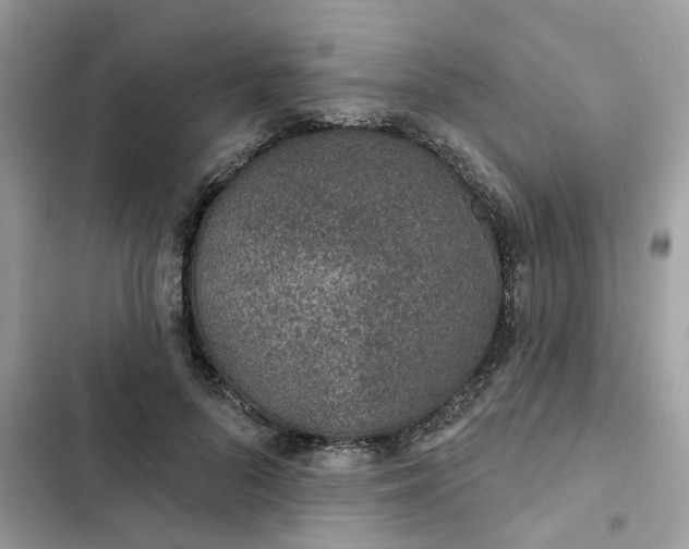 X0000102360696200808151813