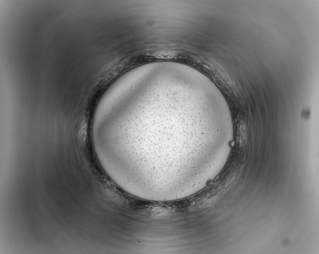 X0000102360697200808151813