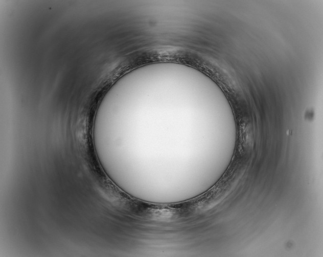 X0000102360698200808151813