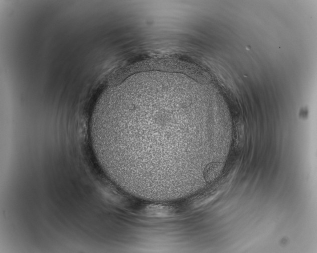 X0000102360699200808151813