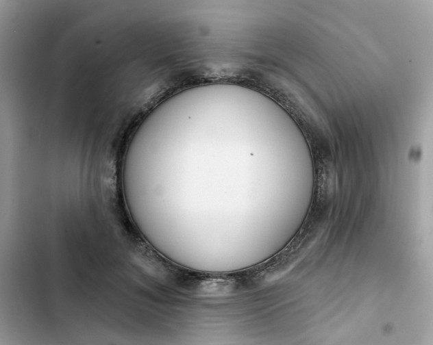 X0000102360700200808151813