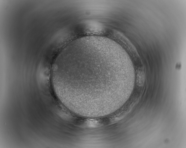 X0000102360701200808151813