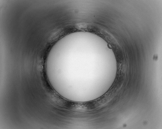 X0000102360702200808151813