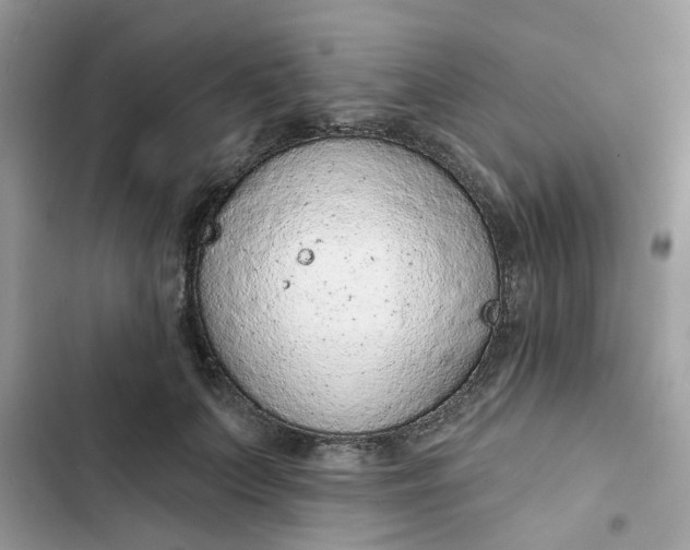 X0000102360703200808151813