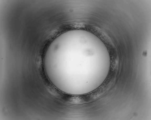 X0000102360704200808151813