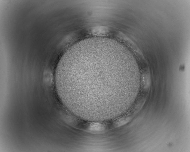 X0000102360705200808151813