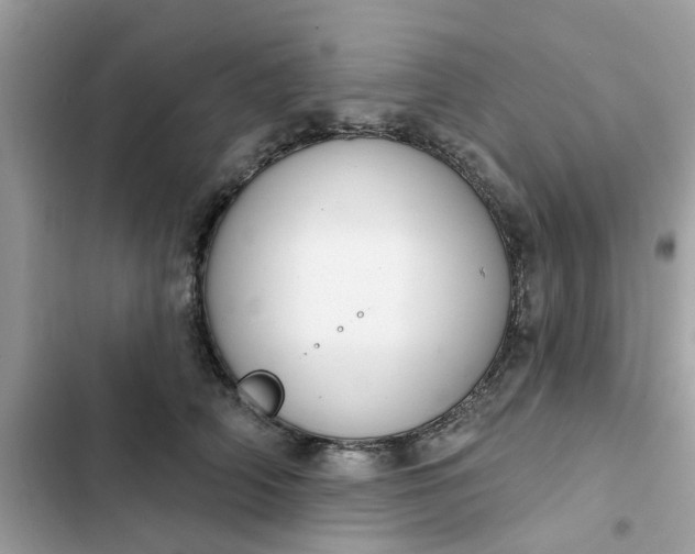 X0000102360706200808151813