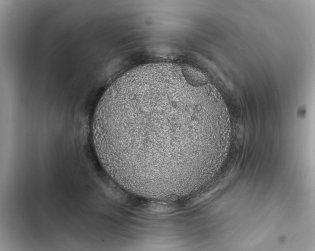 X0000102360707200808151813