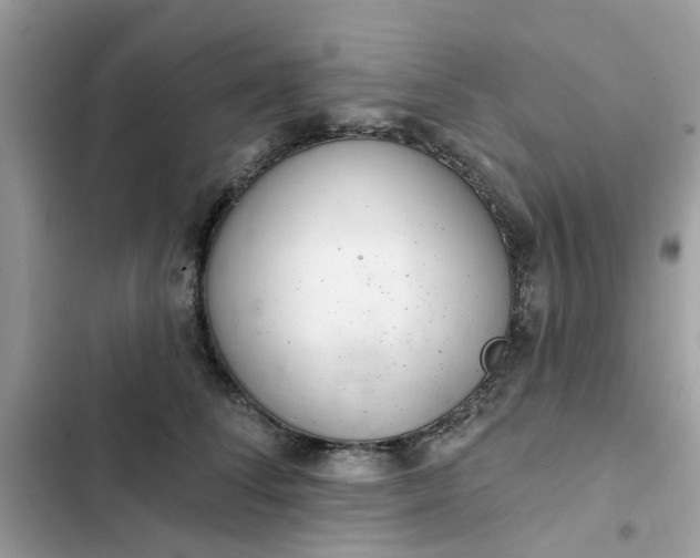 X0000102360708200808151813