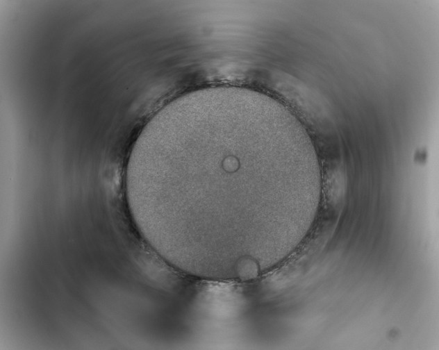 X0000102360709200808151813