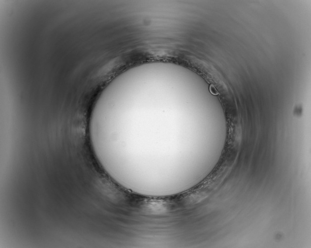 X0000102360710200808151813